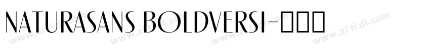 NaturaSans BoldVersi字体转换